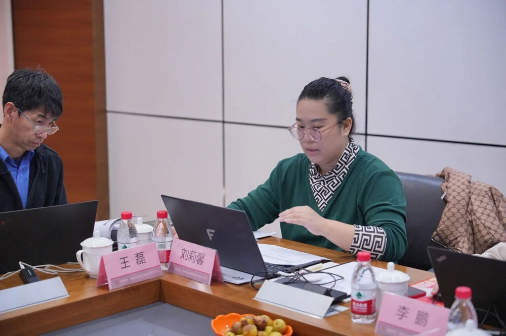 The Review Meeting for the Special Atlas ''Selection and Installation of Inherent Safety Solid State OPzV Battery for Building Products'' was Successfully Held at Ritar in Hengyang for the Review of the Drawings